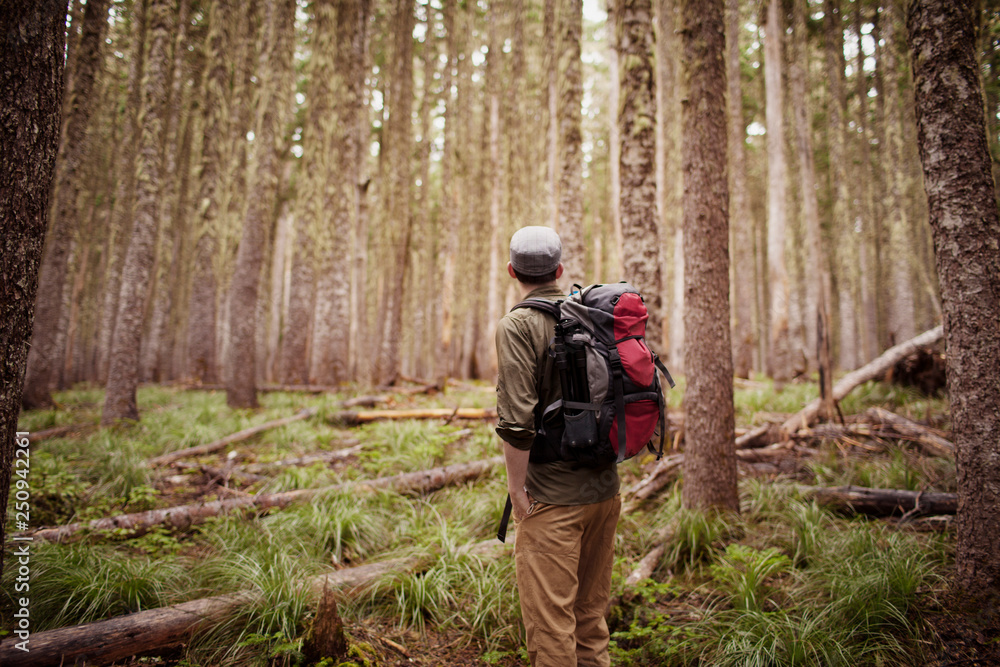 Man standing in forest Man standing in forest