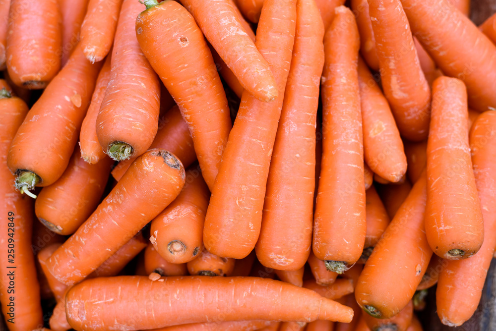 fresh carrots on the market close up fresh carrots on the market close up