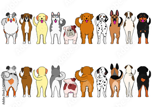 dogs breed border set with color © Studio Ayutaka