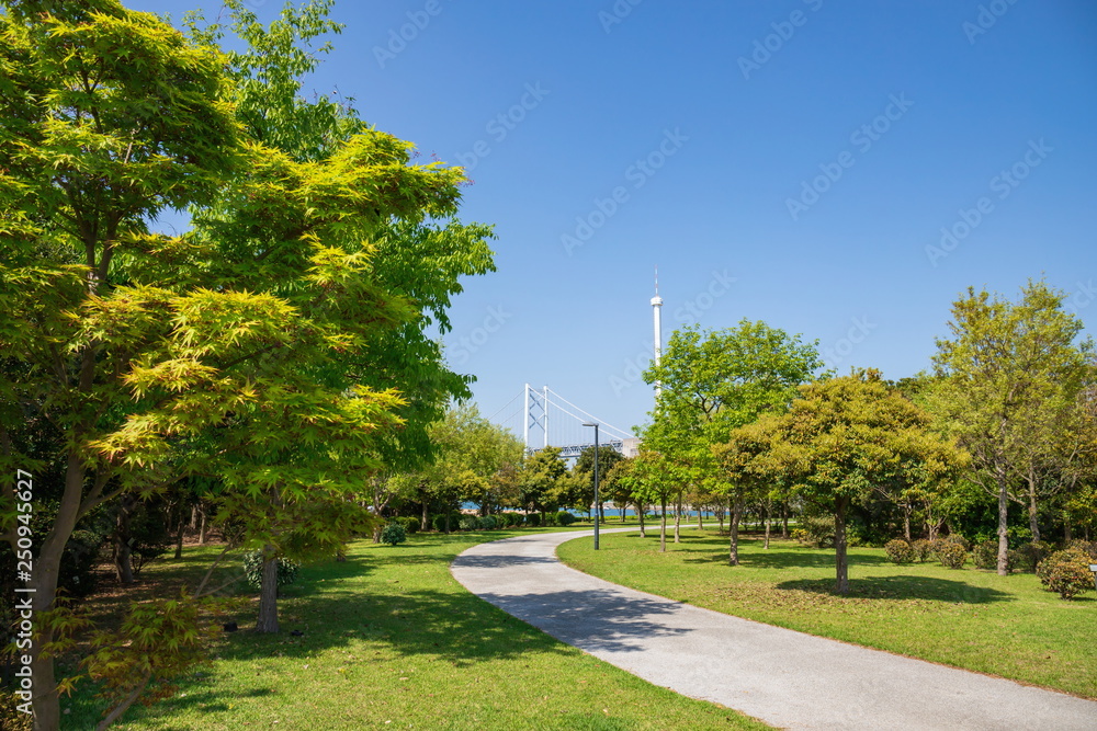 Fresh verdure trees and promenade in Sakaide city,Shikoku,Japan Fresh verdure trees and promenade in Sakaide city,Shikoku,Japan