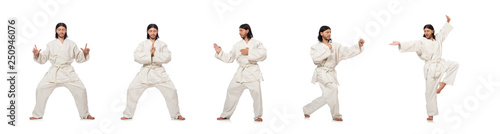 Karate fighter isolated on white