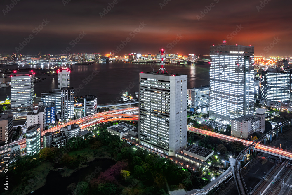 Fototapeta premium Tokyo city skyline