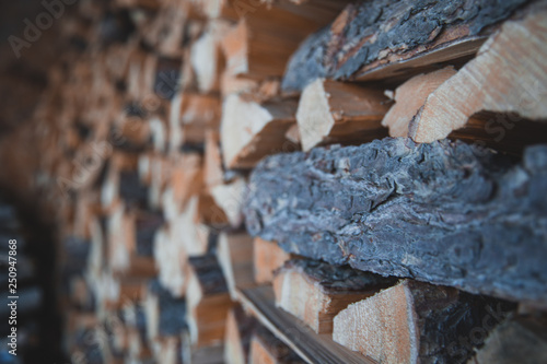 Wallpaper Mural Pile of wooden log, Black Forest, Canada Torontodigital.ca