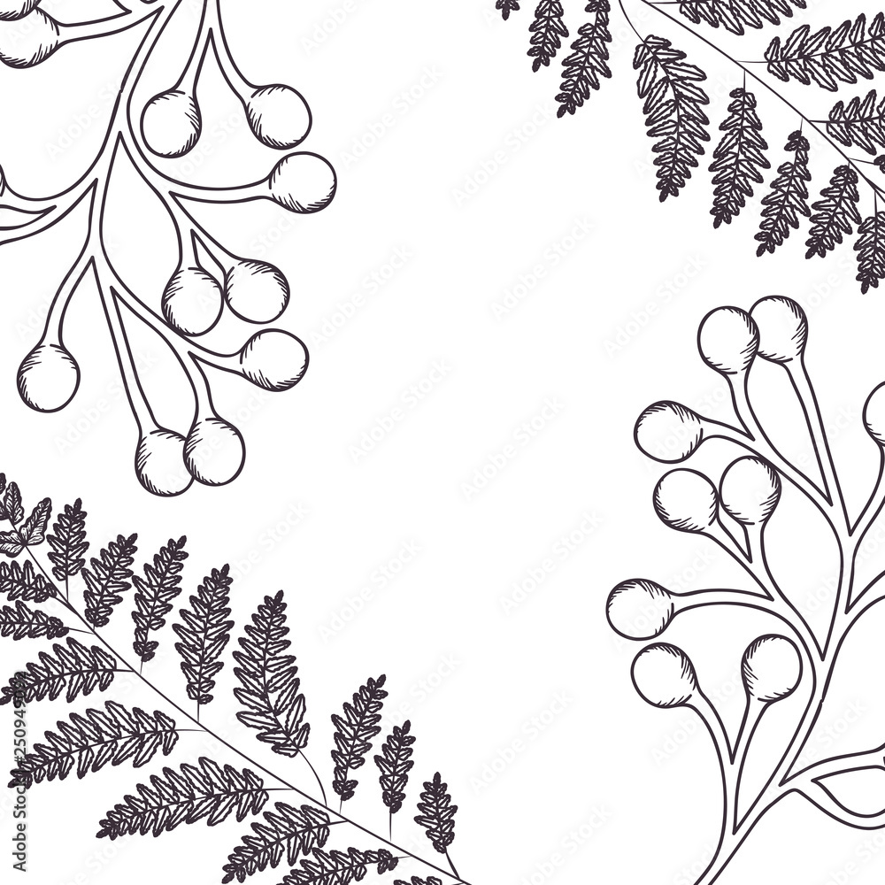 pattern plants and herbs isolated icon