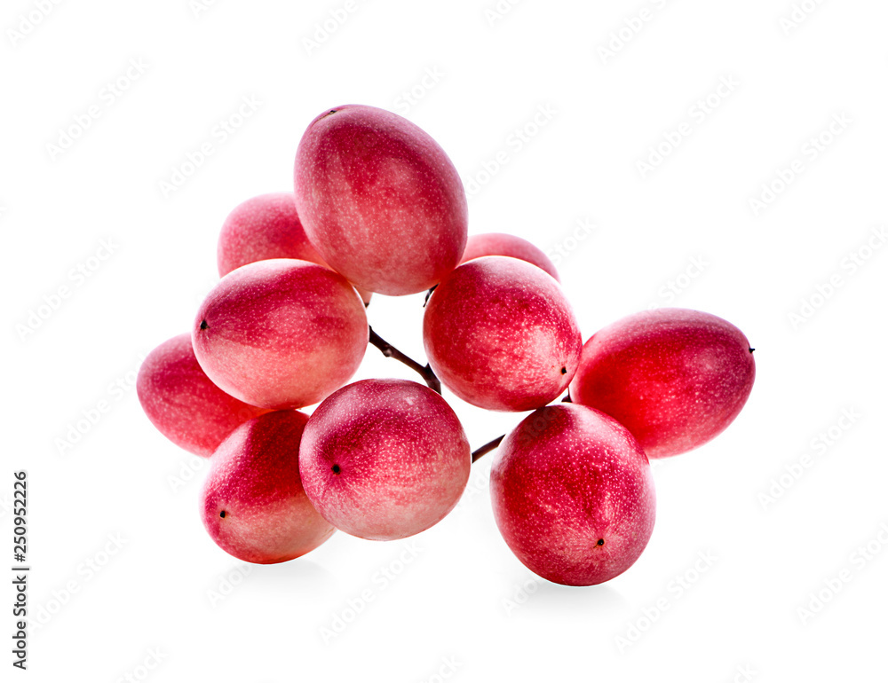 Bengal-Currants, Carandas-plum
