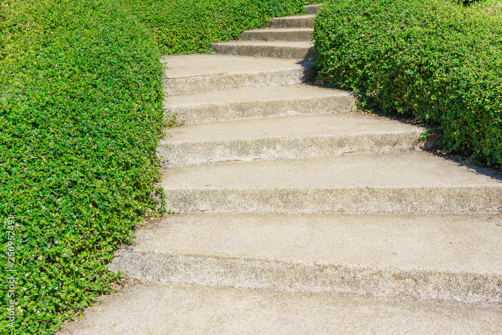 Obraz premium outdoor stone walkway in garden