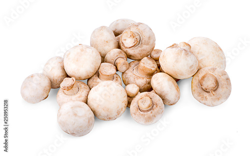 Fresh mushrooms isolated on a white background. Clipping path
