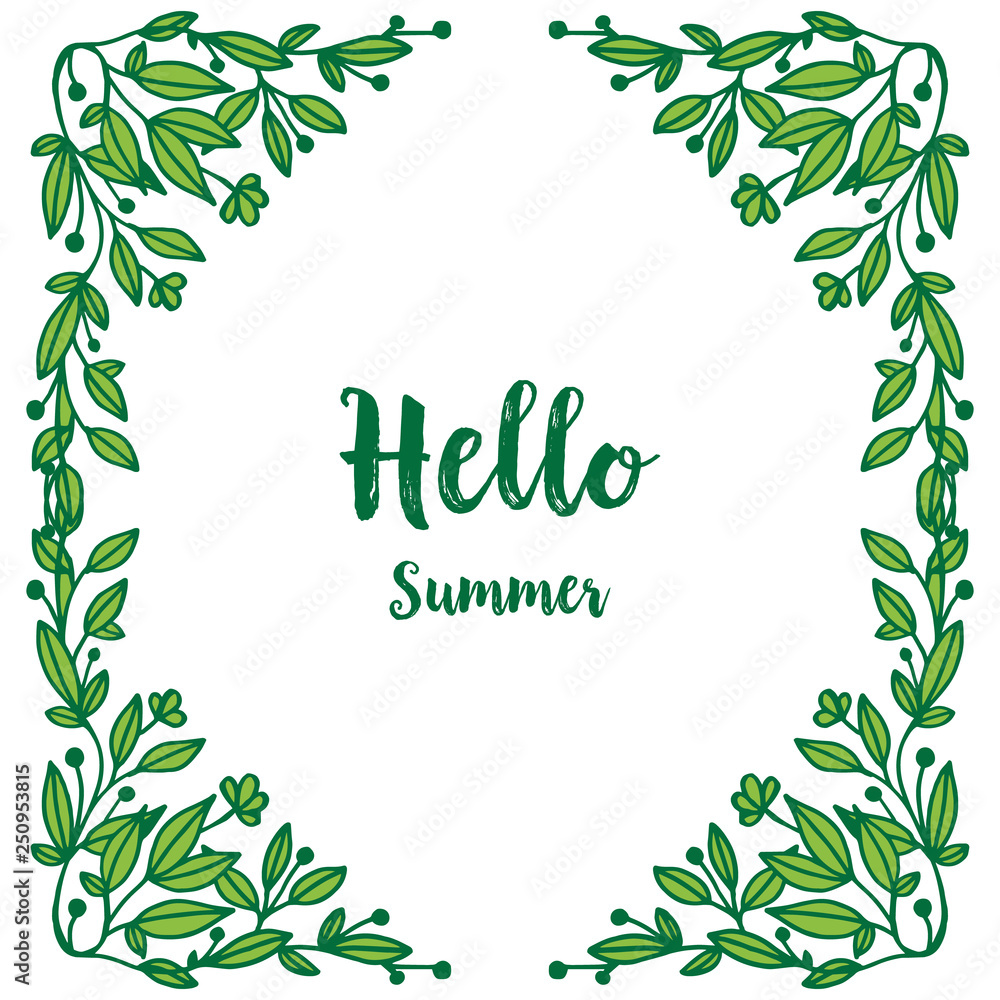 Vector illustration write hello summer with ornate leaf floral frame hand drawn