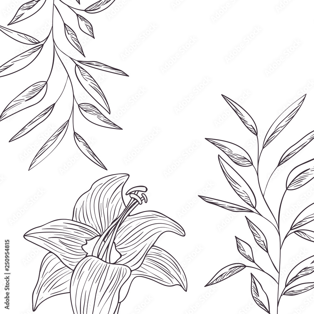 Fototapeta premium pattern plants and herbs isolated icon