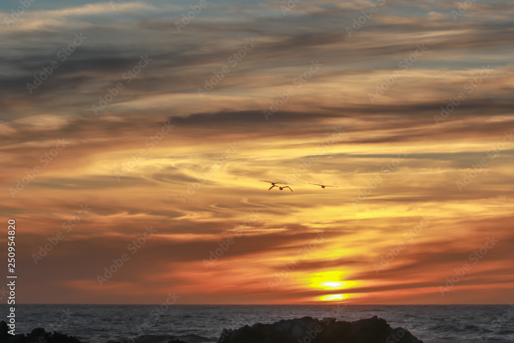 Beautiful sunset over the sea with three pelicans in flight.