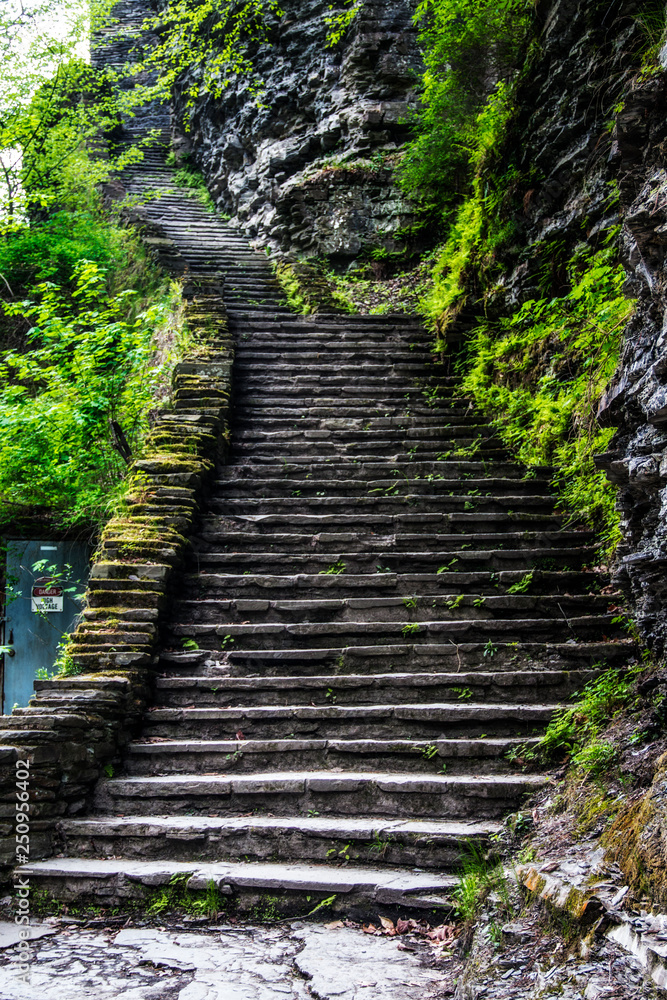 stairs at Watkins Glen State Park in New York
