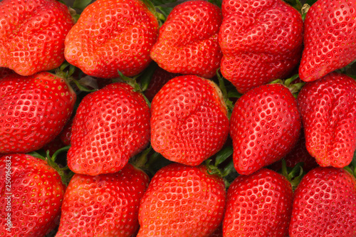 strawberrys