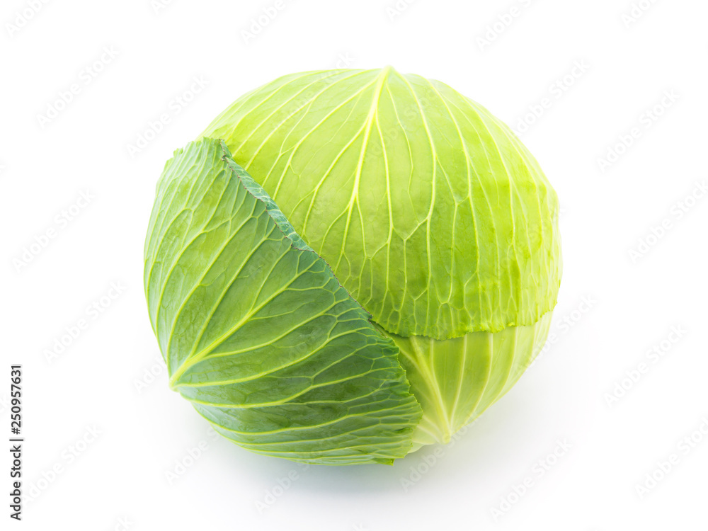 Fototapeta premium cabbage