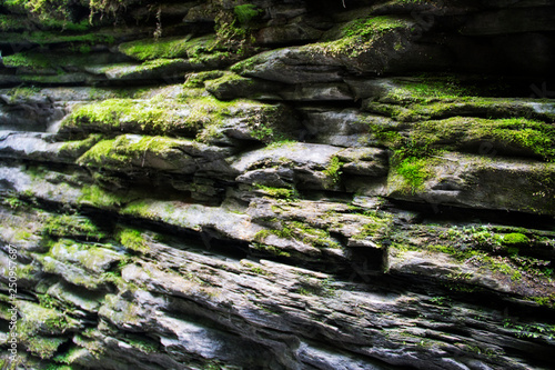 green moss on rocks at Watkins Glen New York