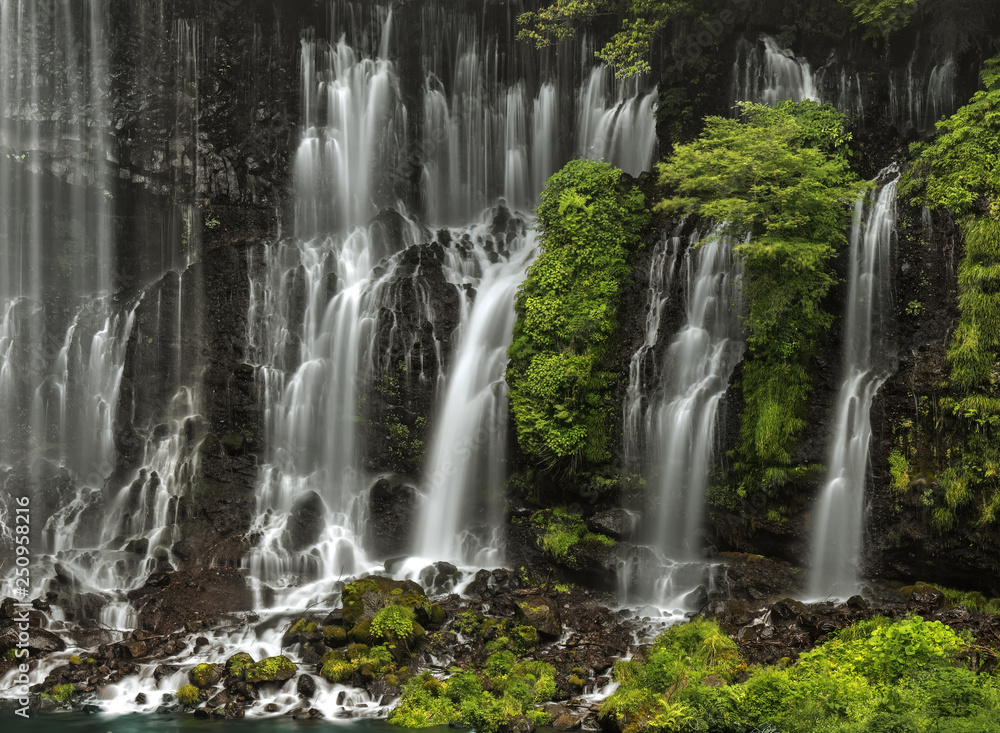 Obraz premium Shiraito-no-taki / Fujinomiya / Japan