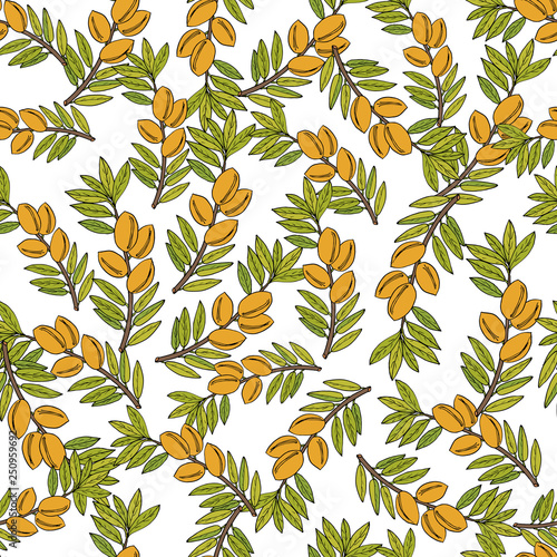 Seamless pattern with hand drawn medicinal plants