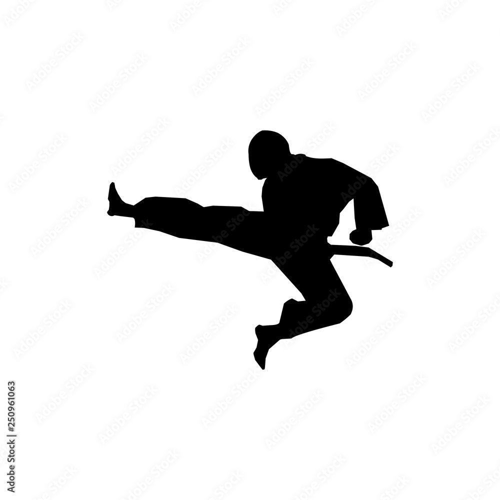 KARATE KICK WITH FLYING SILHOUETTE