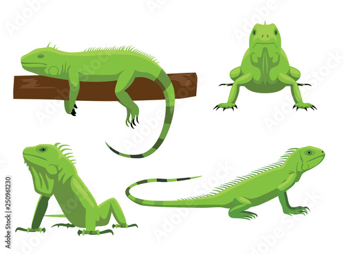 Cute Green Iguana Poses Cartoon Vector Illustration photo