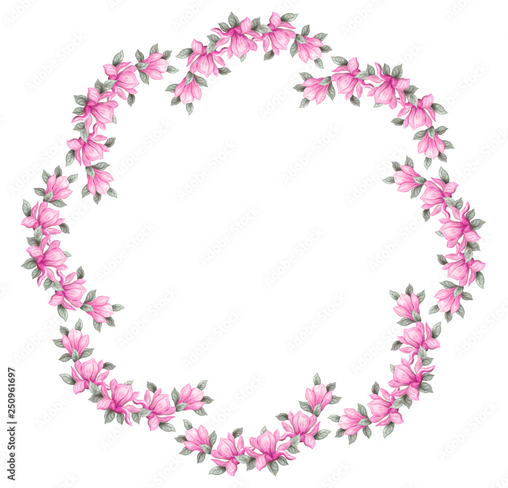 Hand drawn painting watercolor pencils and paints pink magnolia flowers isolated on white background