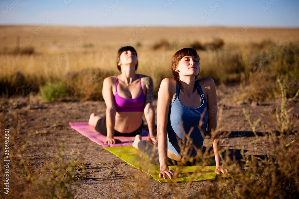 Two young women exercising in meadow Two young women exercising in meadow