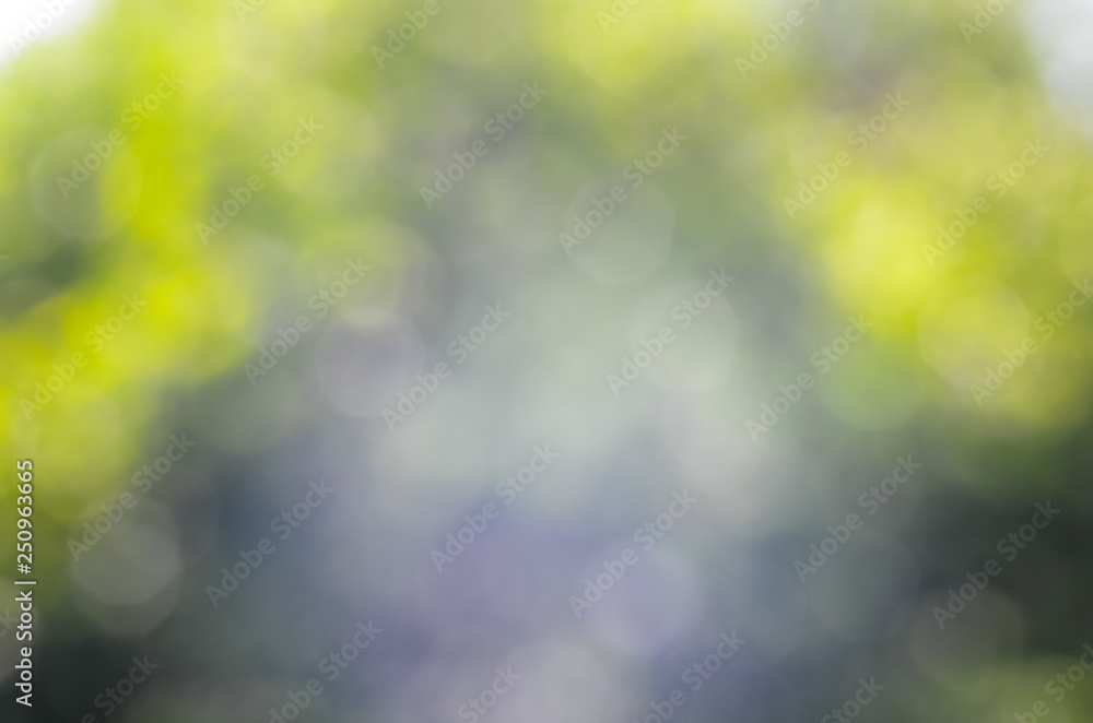 Nature bokeh background Nature bokeh background