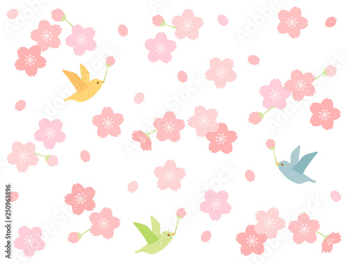 さくら57
