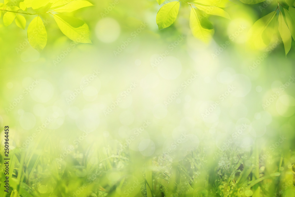 Sunny natural background, spring or summer landscape Sunny natural background, spring or summer landscape