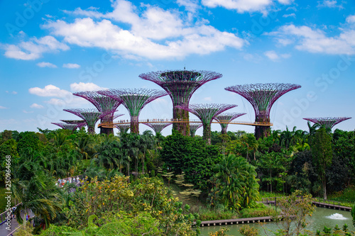 Singapure