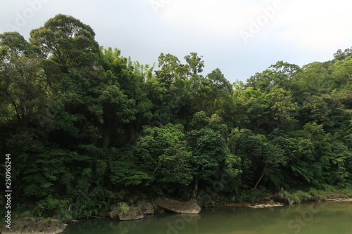 Taiwan River 