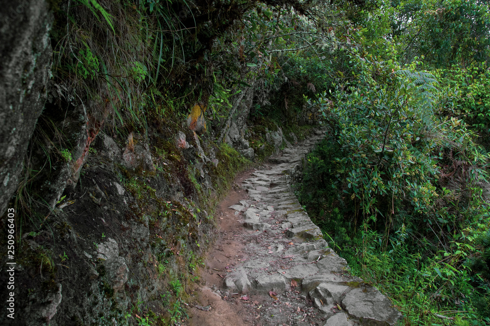 way to the last Inca bridge, Machu Picchu in Peru - lost city of Inca