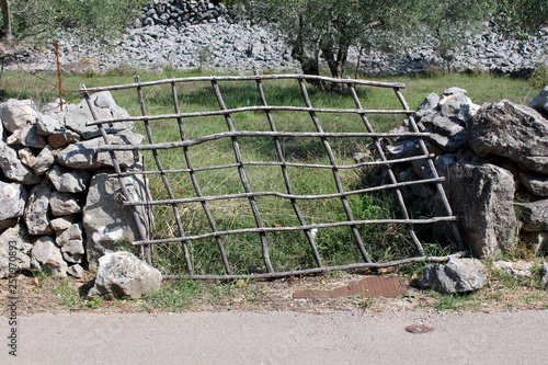 Tilted improvised backyard wooden doors made from wooden sticks supported with makeshift stone wall with tall grass and olive trees in background on warm sunny day