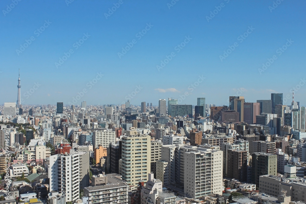 東京の風景　スカイツリーと東京タワー