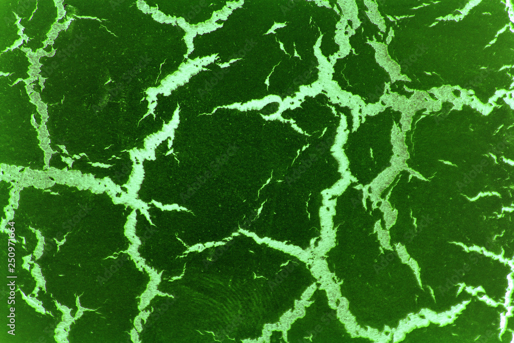 Obraz premium decorative plaster imitating cracks on the surface