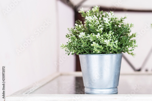Beautiful decorations for home, office or cafe. White flowers.