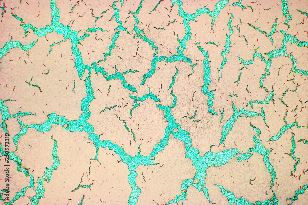 decorative plaster imitating cracks on the surface decorative plaster imitating cracks on the surface
