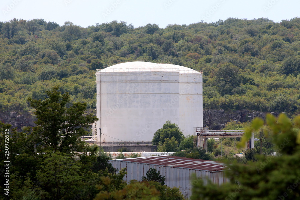 Fototapeta premium Two large white metal industrial silos in distance next to industrial plant surrounded with forest and dense vegetation on warm sunny day