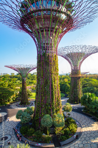 Singapure