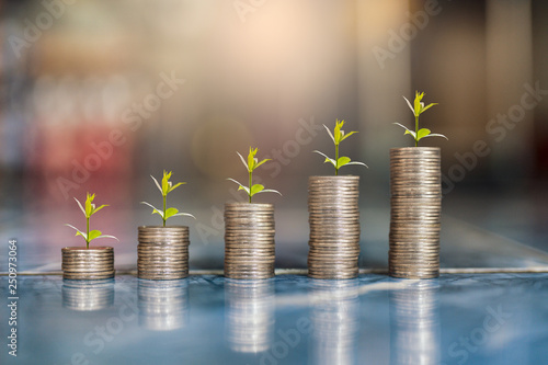 step of coins stacks with tree growing on top, money, saving and investment or family planning concept, motion blured background.