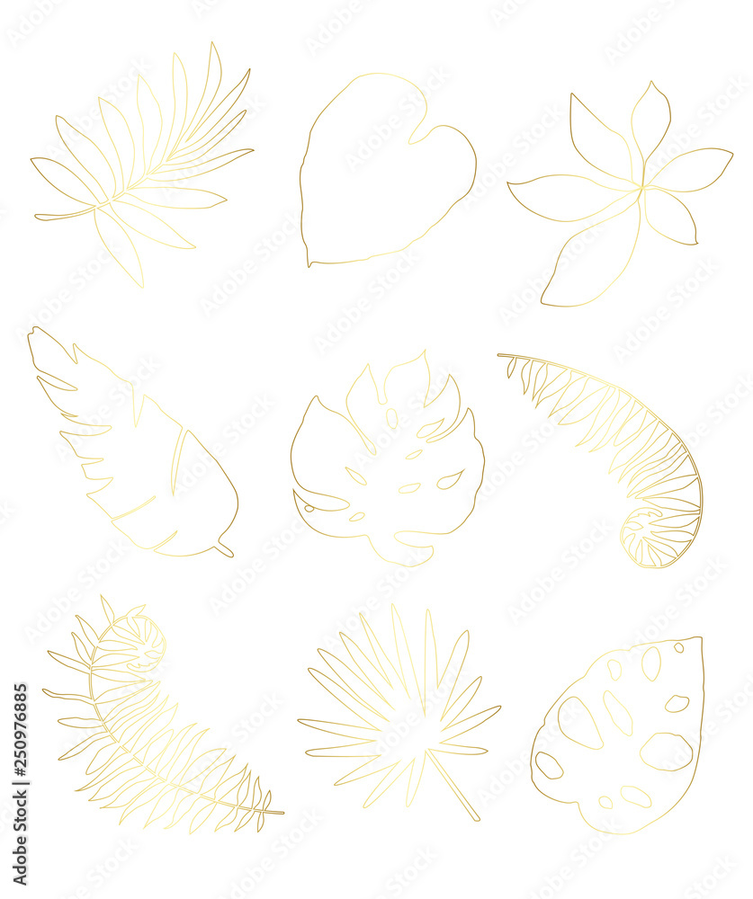 Set tropical leaf isolated. Vector illustration. Golden tropical leaf.