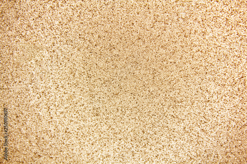 gentle light tone of decorative stucco. textured surface