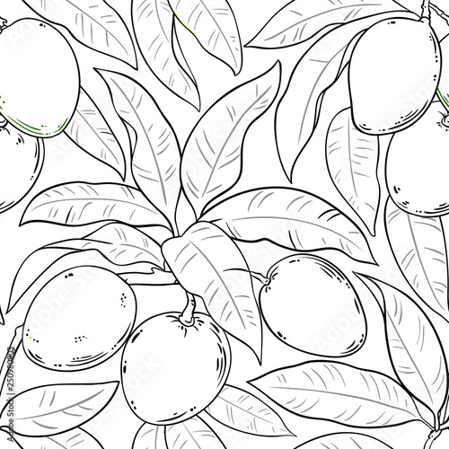 mango vector pattern