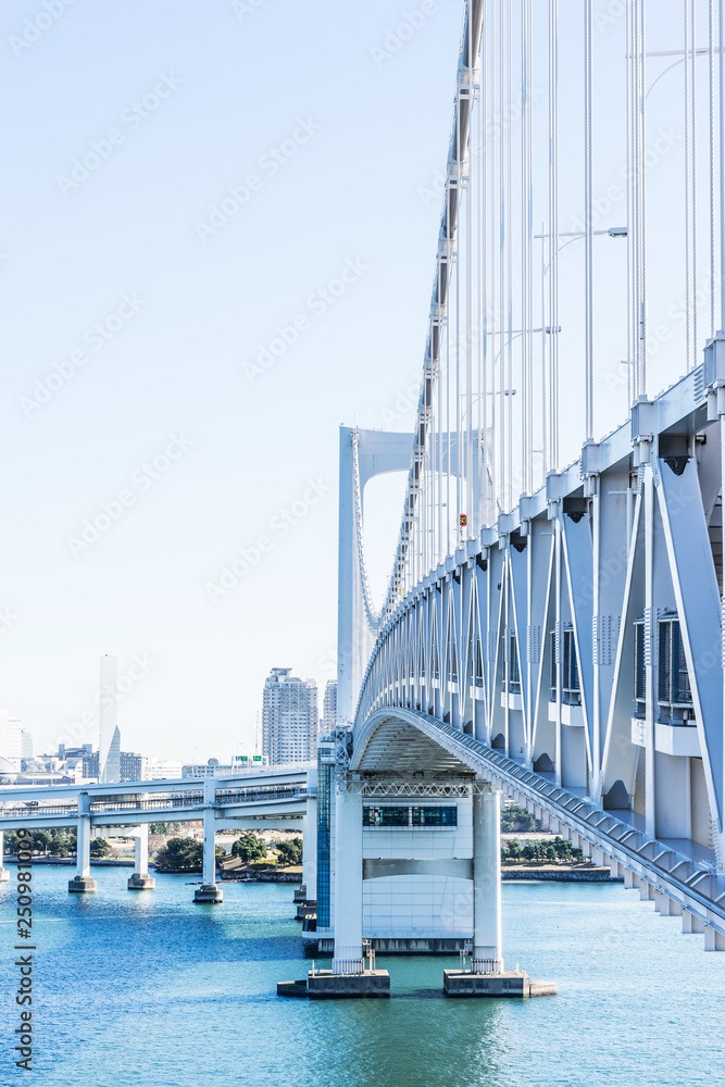 Obraz premium city skyline of tokyo bay, rainbow bridge in odaiba, Japan