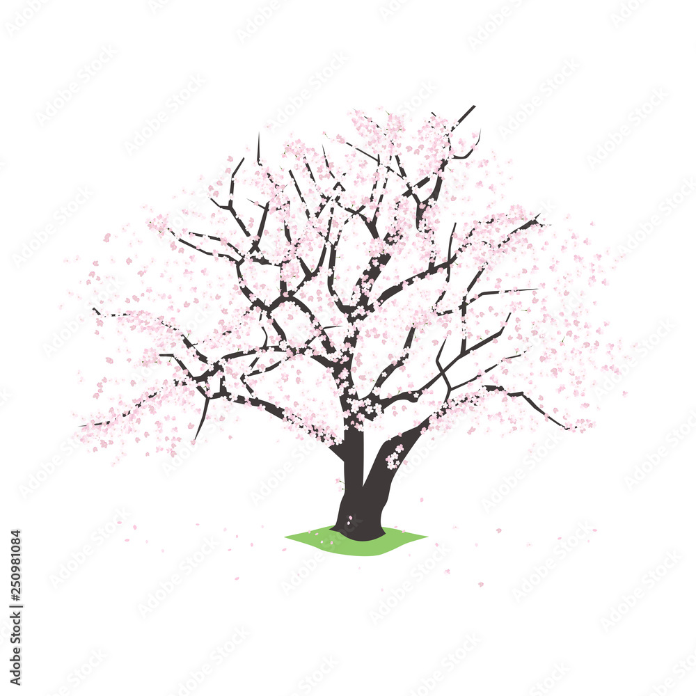 日本の花のイラスト 一本の桜の木 Stock Vector Adobe Stock