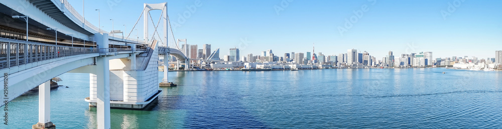 Fototapeta premium japan city skyline of tokyo bay, tokyo tower, rainbow bridge