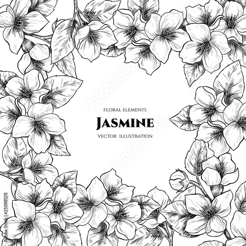 Vector frame with jasmine flowers. Hand drawn. Vintage style