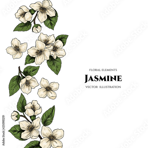 Vector frame with jasmine flowers. Hand drawn. Vintage style
