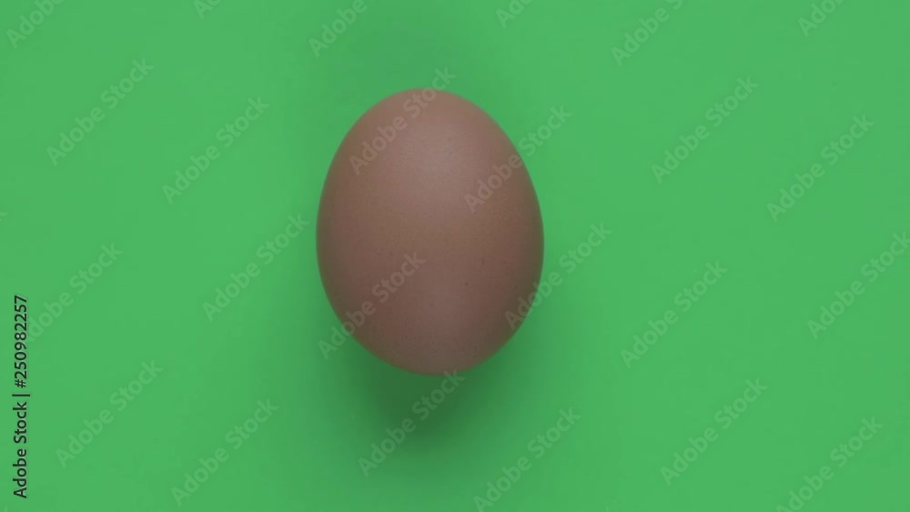 Panorama of a close-up of a yellow chicken egg on a green background. 4k Panorama of a close-up of a yellow chicken egg on a green background. 4k