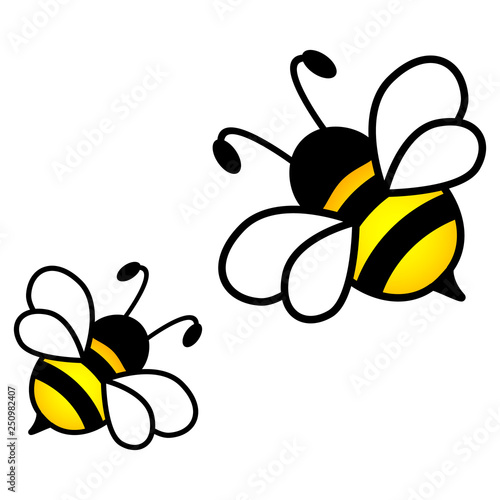 Honey bees isolated on the white background