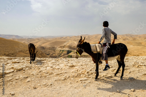Fototapeta Naklejka Na Ścianę i Meble -  The boy on a donkey against the background of the  Judaean Desert, Israel.  13-09-2015