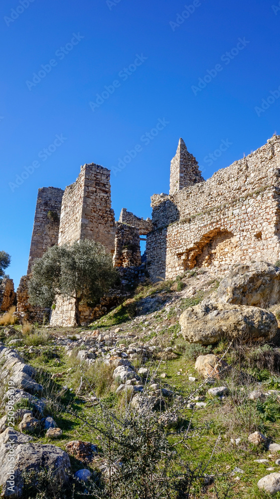Historical castle of Becin